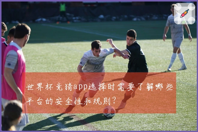 世界杯竞猜app选择时需要了解哪些平台的安全性和规则？